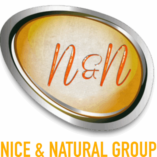 NNG Logo